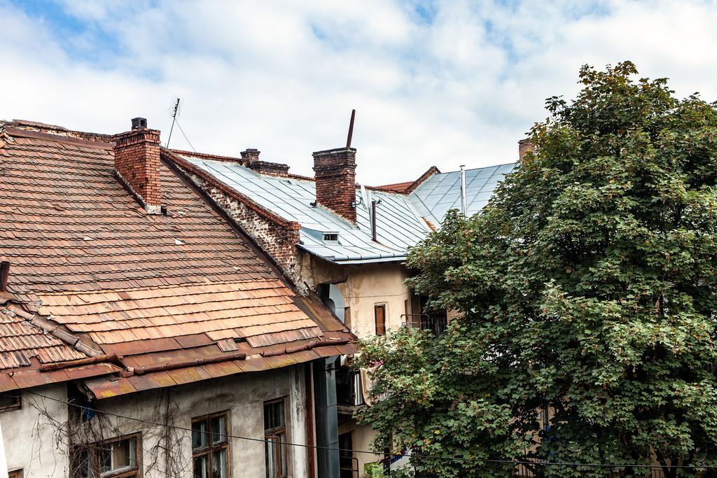 Park Plus Hostel Lviv Kültér fotó